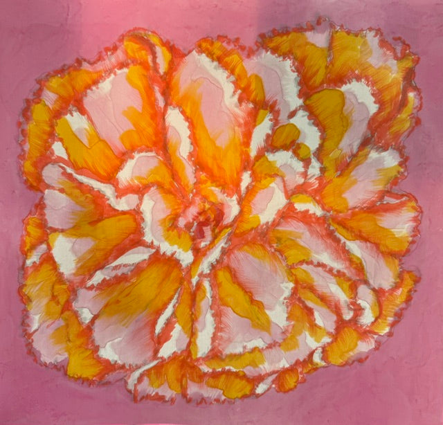 S354 - Carnation