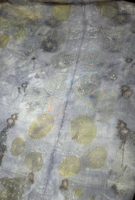 Eco-Print - Evening *